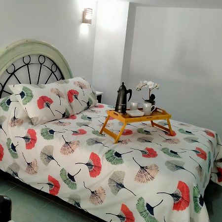 Precioso Loft En Conil De La Frontera Lägenhet Exteriör bild
